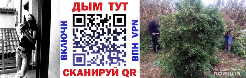 Купить наркоту Медынь Бошки Шишки  АМФЕТАМИН  ГАШ  Мефедрон  Alpha-PVP 