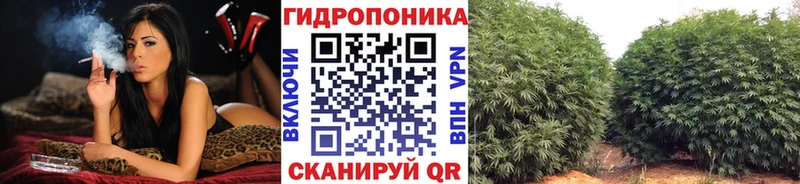 купить наркоту  Медынь  МАРИХУАНА Ganja 